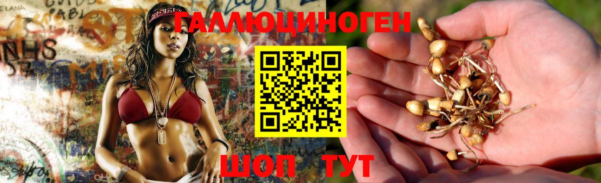 Можга  Галлюциногенные грибы GOLDEN TEACHER  Вход с VPN 