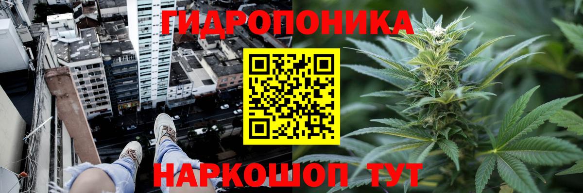 Шишки марихуана семена Можга